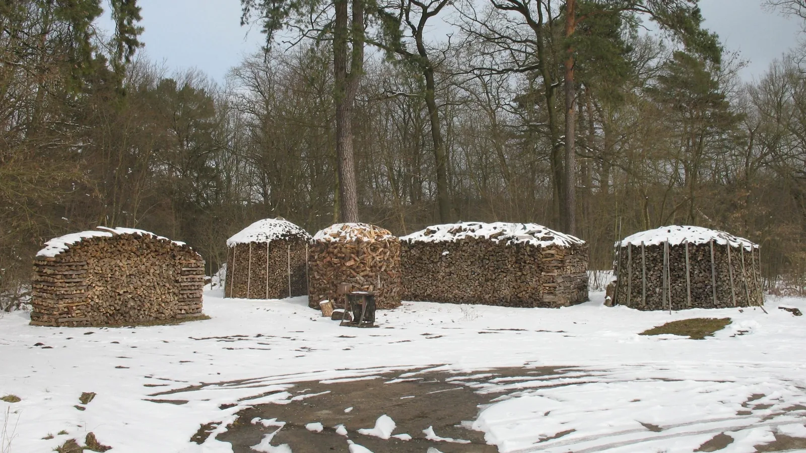 Mehrere große Stapel gespaltenen Brennholzes stehen im Winter im Freien unter leichten Schneeauflagen.