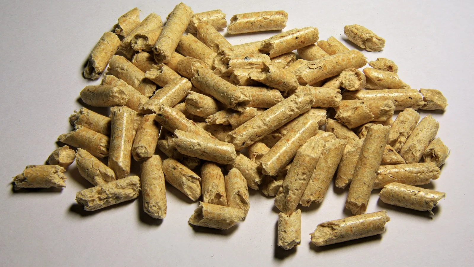 Ein kleiner Haufen hellbrauner Holzpellets, kurze gepresste Holzstäbchen, auf hellem Untergrund.