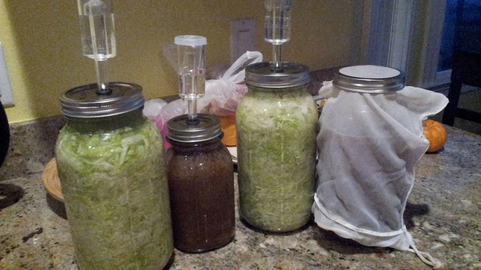 Mehrere Gläser mit fermentierendem Gemüse, darunter Sauerkraut, stehen während der Gärung auf einer Arbeitsfläche.