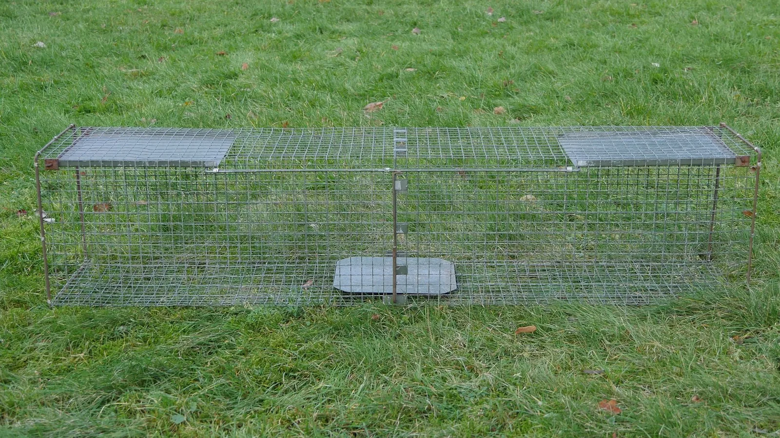 Eine leere, lange Kastenfalle aus Drahtgitter steht auf einer Wiese; an beiden Enden liegen oben Metallplatten, beide Öffnungen sind offen.