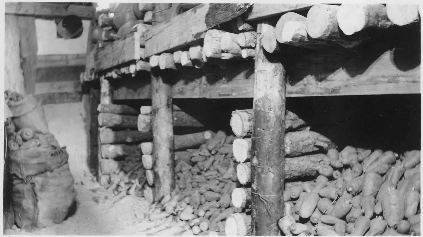 Historische Aufnahme eines Erdkellers mit eingelagertem Gemüse in Kisten und auf Regalen.