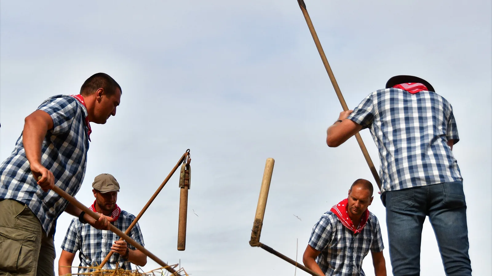 Vier Personen dreschen Getreide traditionell mit Dreschflegeln auf einer festen Fläche.
