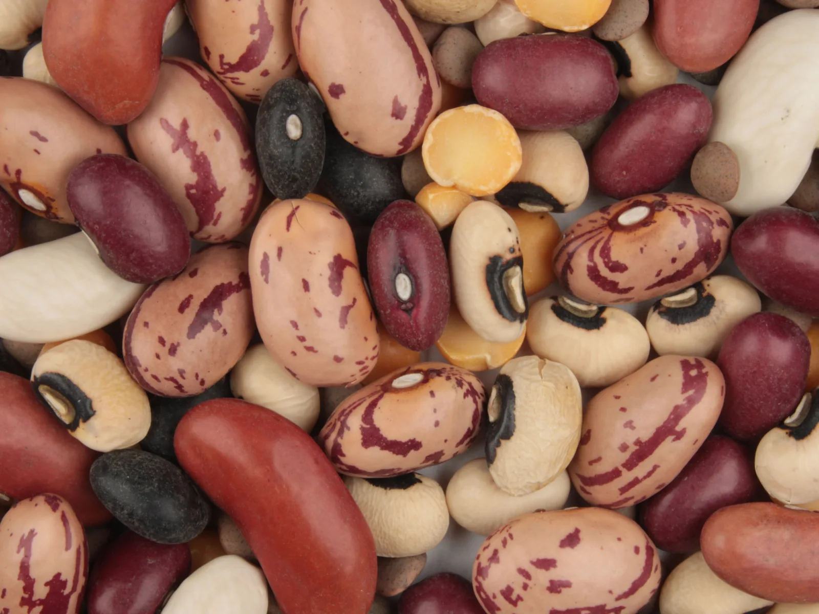 Nahaufnahme einer Mischung getrockneter Hülsenfrüchte: rote, weiße, schwarze und gesprenkelte Bohnen, Augenbohnen, gelbe Schälerbsen und kleine Linsen.