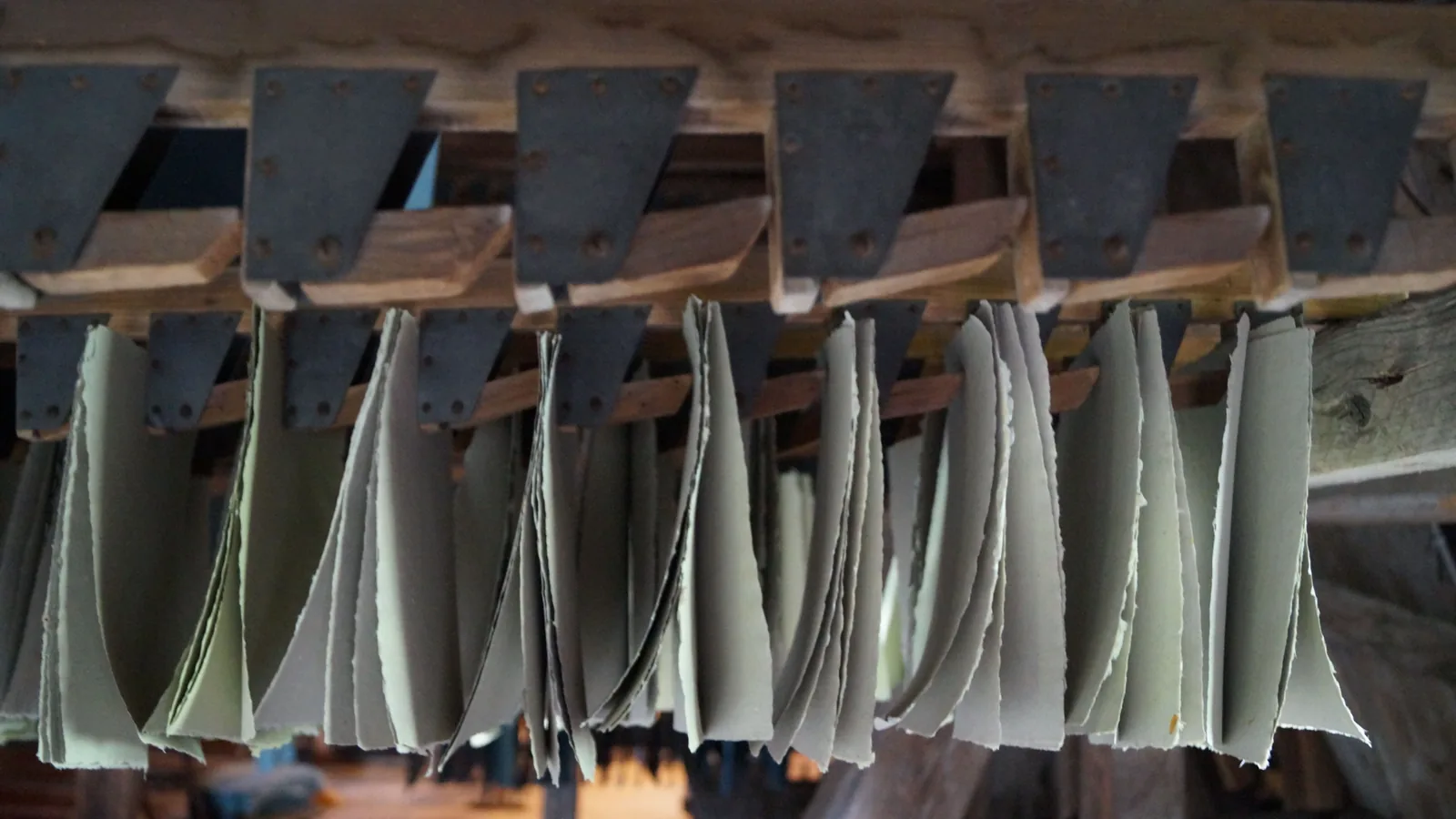Frisch geschöpfte Papierbogen hängen in einer historischen Papiermühle dicht an dicht über Holzstangen zum Trocknen.