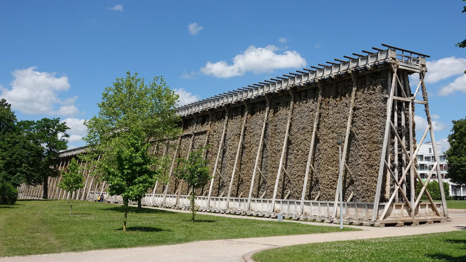 Das lange hölzerne Gradierwerk in Bad Kösen: eine hohe, mit Reisig gefüllte Holzwand auf einem Balkengerüst, davor junge Bäume, Rasen und ein Weg unter blauem Himmel.