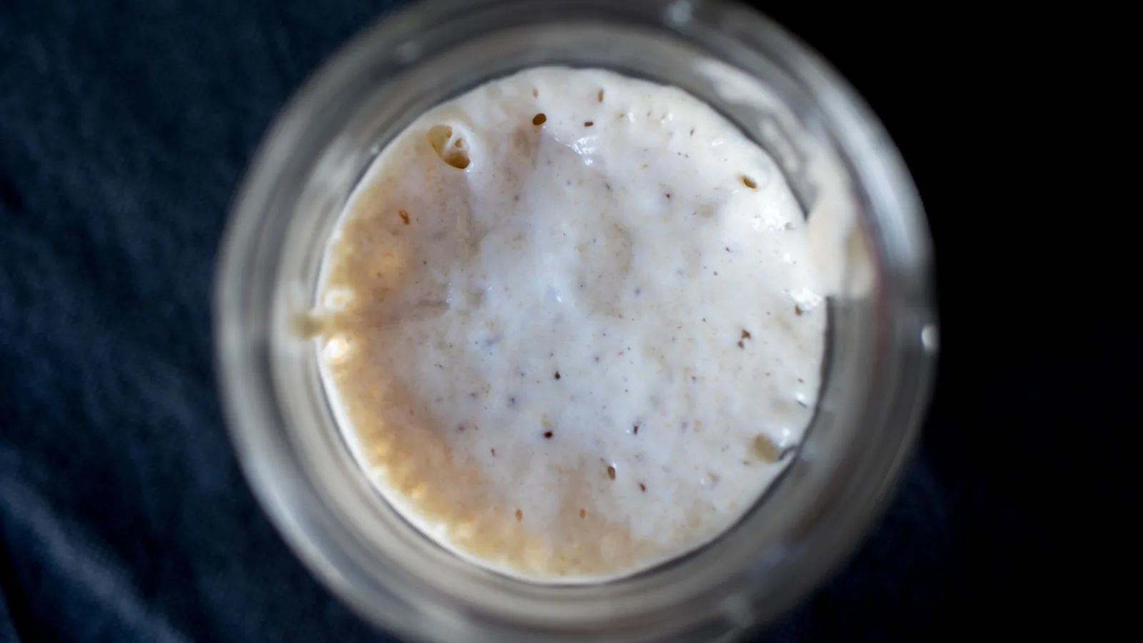 Aktiver Sauerteigstarter mit sichtbaren Blasen steht in einem Glas.