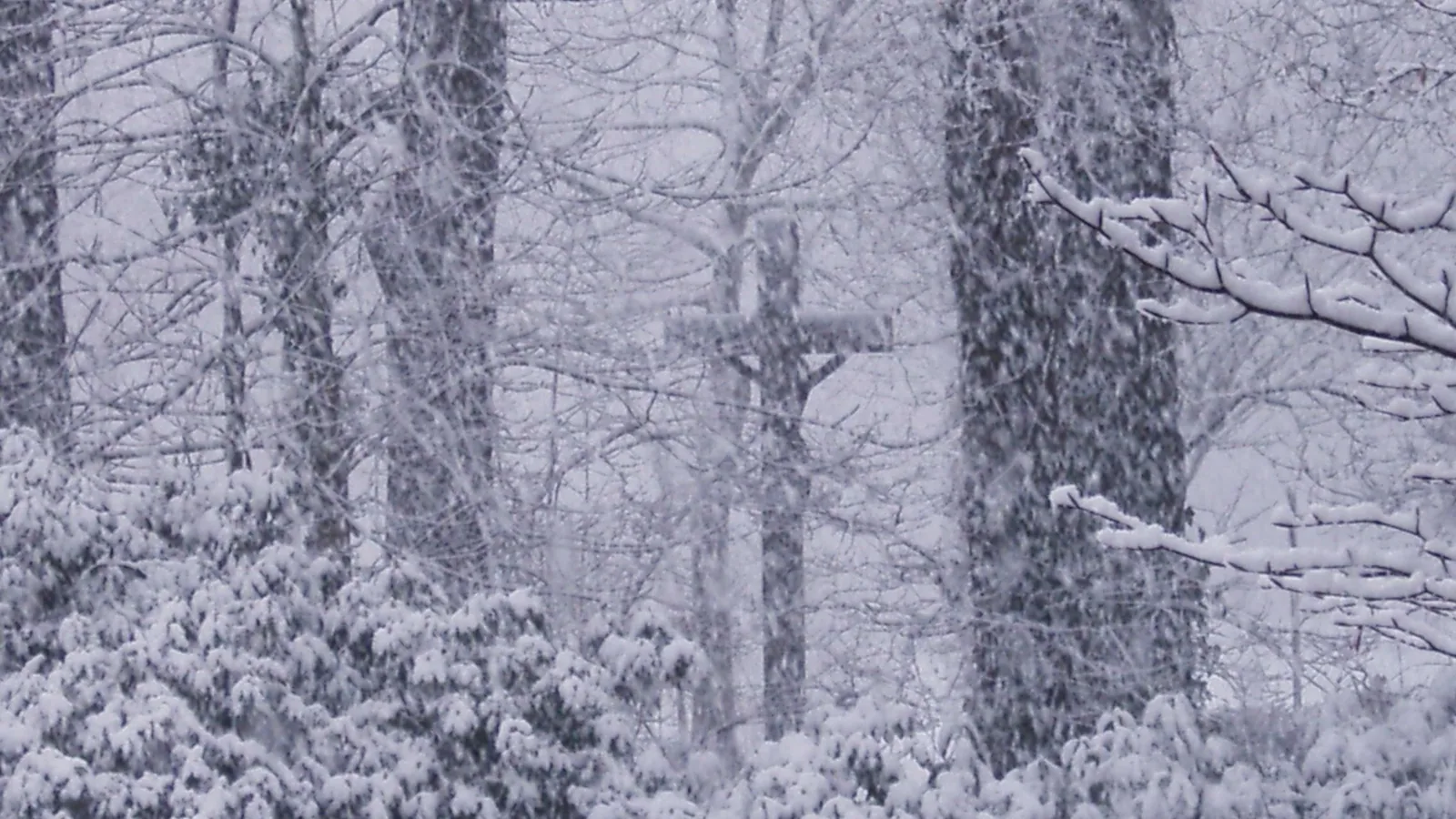 Dichter Schneefall erschwert die Sicht während des Münsterländer Schneechaos im November 2005.