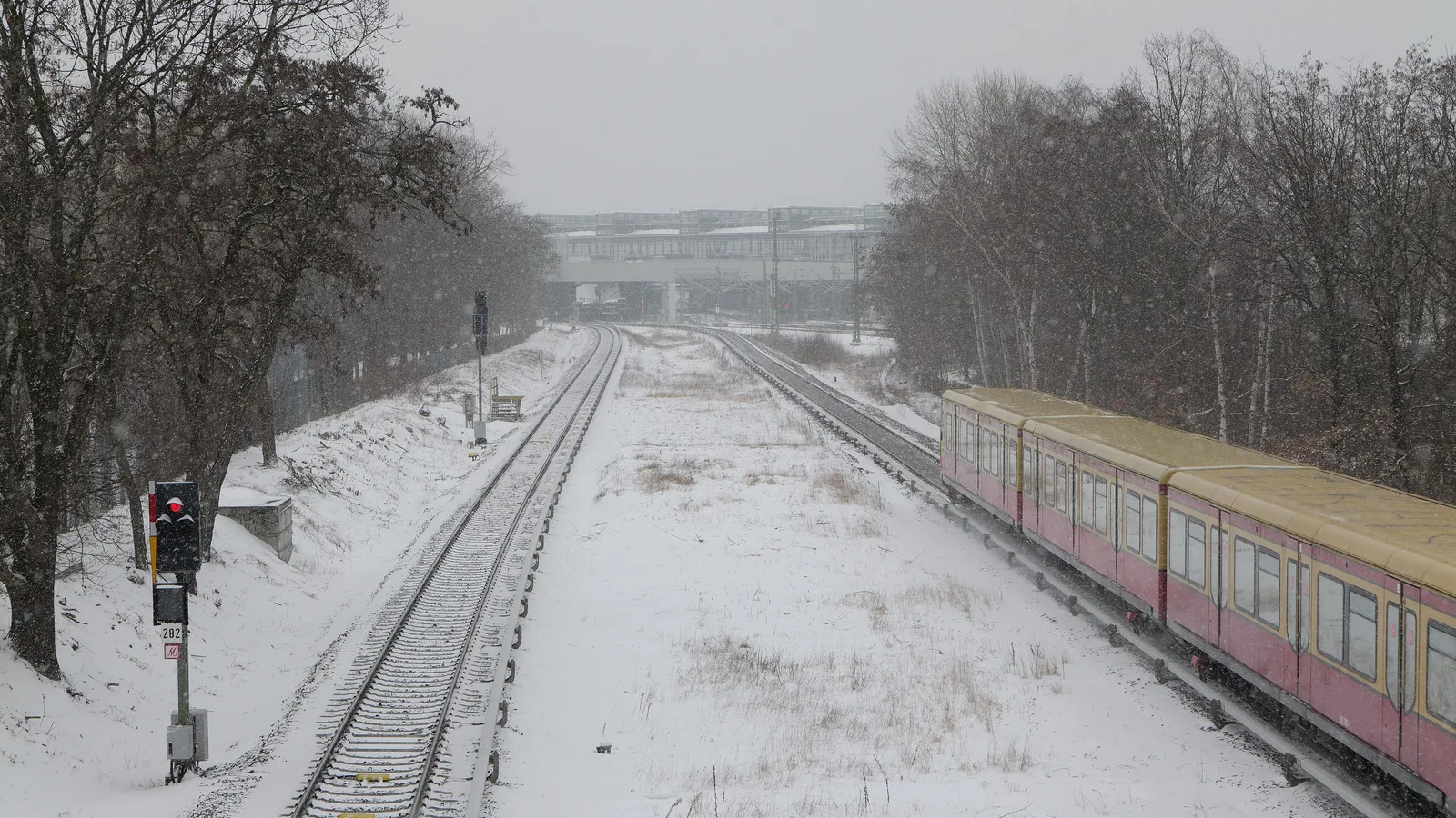 Eine S-Bahn fährt auf einer verschneiten, zweigleisigen Strecke in Berlin; links steht ein Signal, beiderseits kahle Bäume.