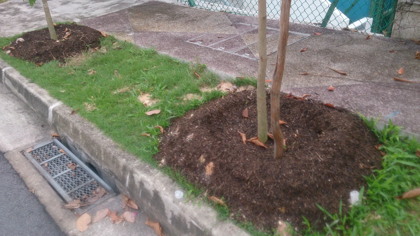Eine Gartenfläche ist mit einer dicken Schicht organischem Mulch bedeckt.