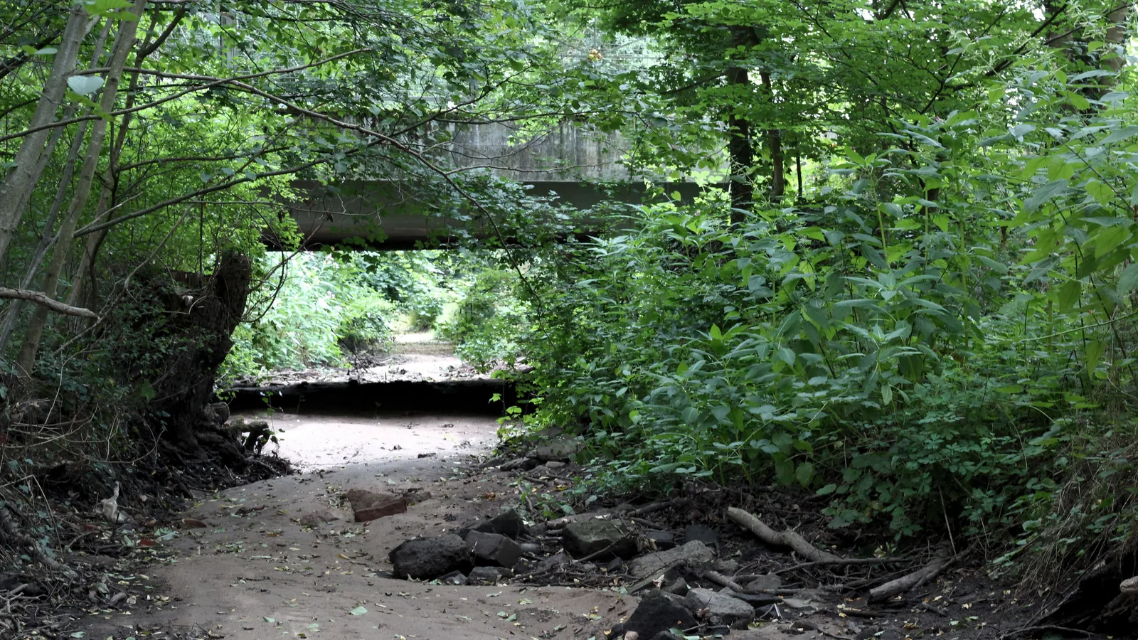 Ein ausgetrocknetes Bachbett mit Sand und Steinen zieht sich durch dichtes grünes Ufergebüsch, im Hintergrund eine Straßenbrücke.