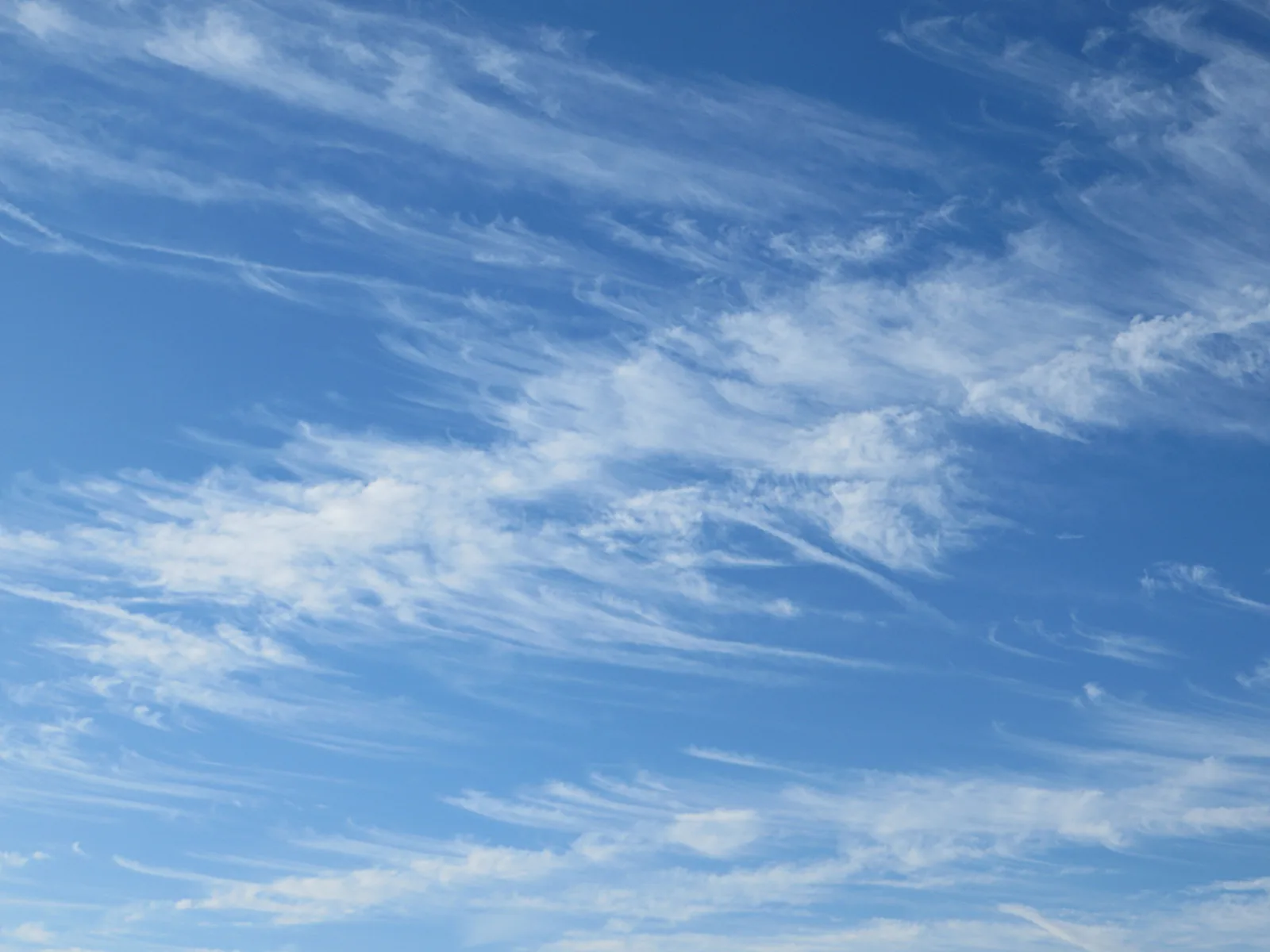Hohe, fasrige Cirruswolken ziehen in schrägen Bändern über einen sonst blauen Himmel, aufgenommen in Limburg.