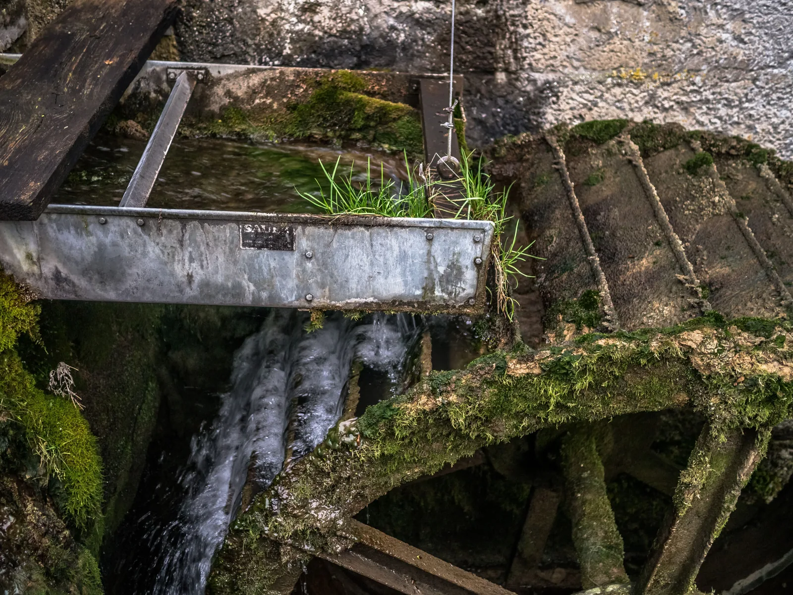 Wasser schießt aus einer hölzernen, mit Blech beschlagenen Rinne auf ein bemoostes hölzernes Mühlrad.